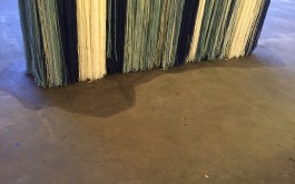 Margrét Rós Harðardóttir