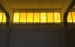 Margrét Rós Harðardóttir