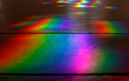 Margrét Rós Harðardóttir