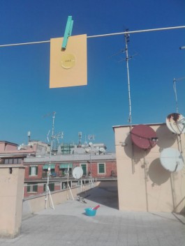 Margrét Rós Harðardóttir