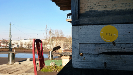 Margrét Rós Harðardóttir