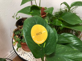 Margrét Rós Harðardóttir