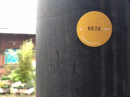 Margrét Rós Harðardóttir